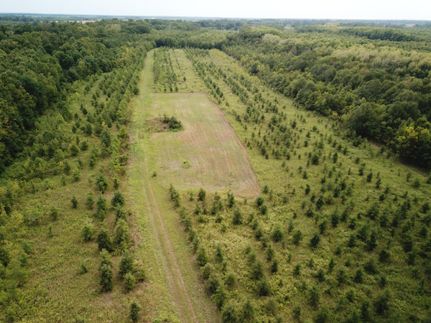 Farm and Ranch in Quitman County, Mississippi