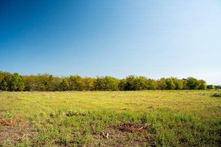 Farm and Ranch for sale in Fannin County, Texas