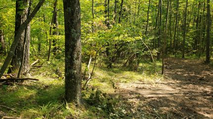 Land in Marinette County, Wisconsin