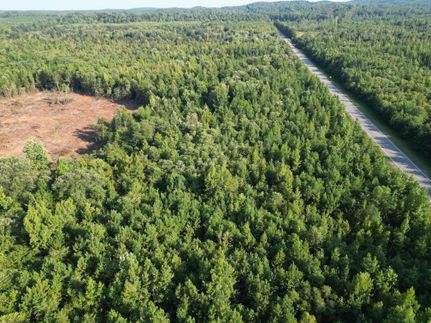 Undeveloped Land in Hale County, Alabama