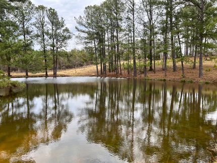 Timberland Property in Elmore County, Alabama