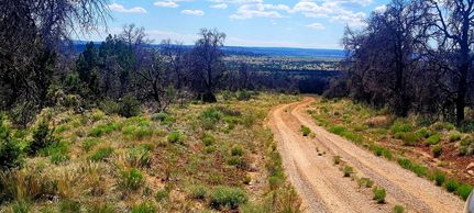 Homesite for sale in Cibola County, New Mexico