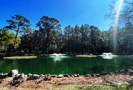 Farm and Ranch in Marion County, Florida