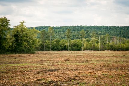 Hunting Property in Lawrence County, Alabama