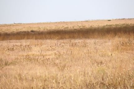 Farm and Ranch in Floyd County, Texas