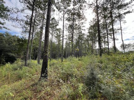 Farm and Ranch in Coffee County, Alabama
