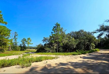 Undeveloped Land in Putnam County, Florida