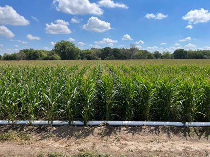 Land in Howard County, Nebraska