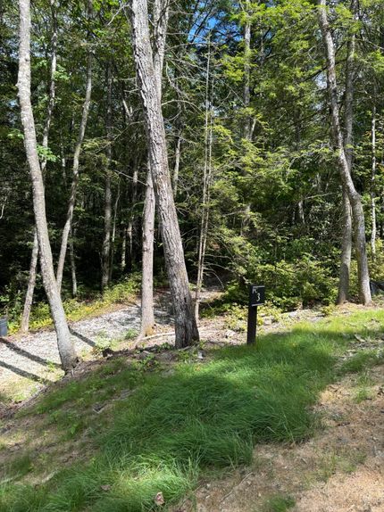 Undeveloped Land in Jackson County, North Carolina