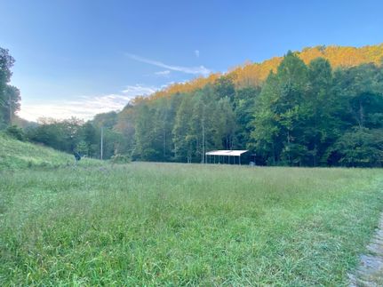 Timberland Property in Harrison County, West Virginia