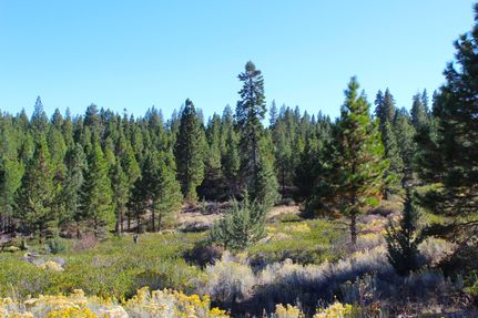 Farm and Ranch in Modoc County, California