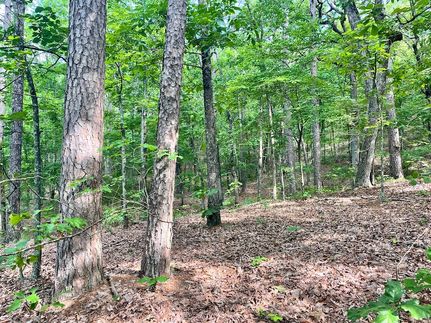 Recreational Property in Faulkner County, Arkansas
