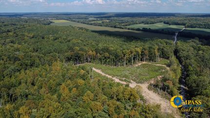 Timberland Property in Carroll County, Tennessee