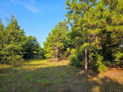 Land for sale in Cass County, Texas