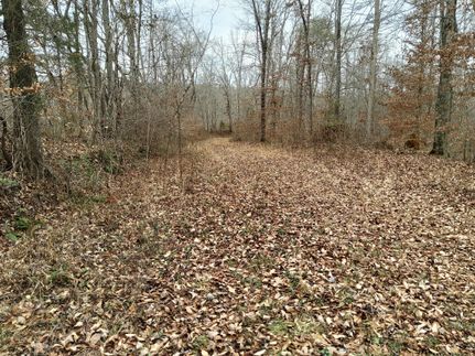 Recreational Property in Wayne County, Kentucky