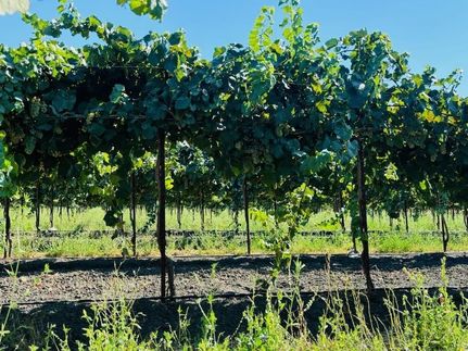 Timberland Property for sale in Yolo County, California
