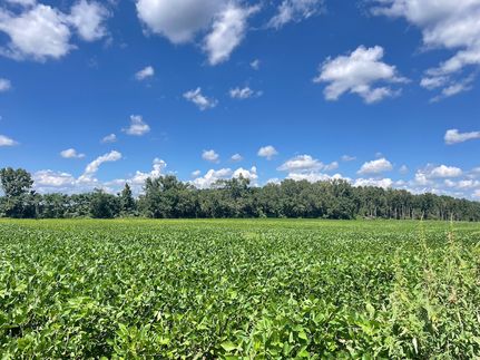 Recreational Property in Marlboro County, South Carolina