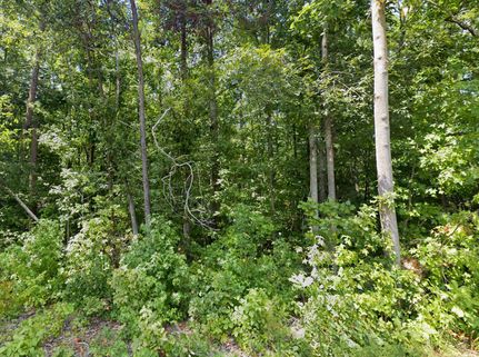 Recreational Property in Louisa County, Virginia