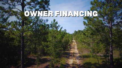 Undeveloped Land in Putnam County, Florida