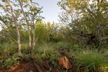 Recreational Property in Atascosa County, Texas