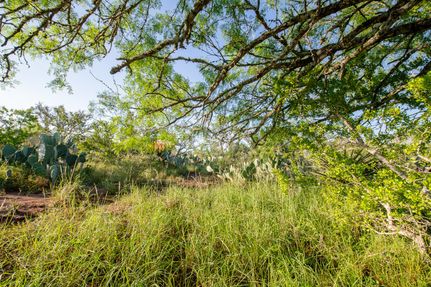 Hunting Property in Atascosa County, Texas