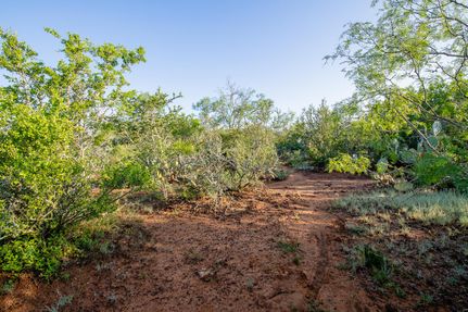 Hunting Property in Atascosa County, Texas