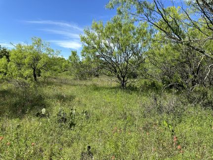 Farm and Ranch in Caldwell County, Texas