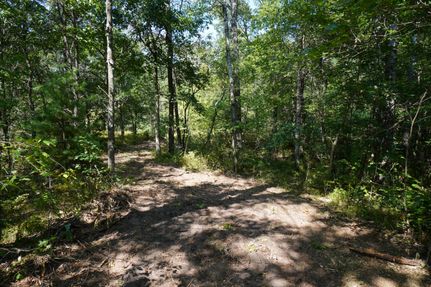 Timberland Property in Juneau County, Wisconsin