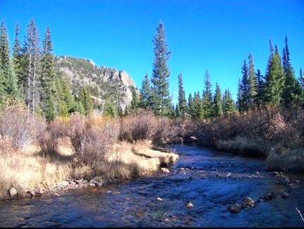 Farm and Ranch in Park County, Colorado