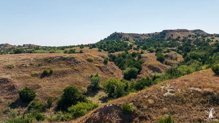 Farm and Ranch in Woodward County, Oklahoma