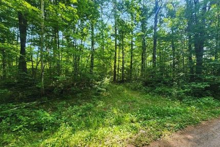 Undeveloped Land in Mille Lacs County, Minnesota