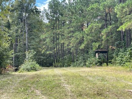 Timberland Property in Houston County, Texas