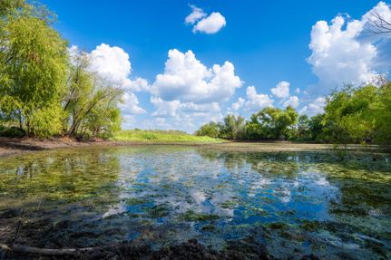 Undeveloped Land in Caldwell County, Texas