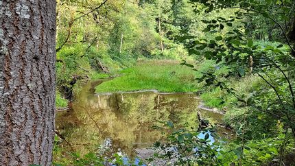 Farm and Ranch for sale in Multnomah County, Oregon