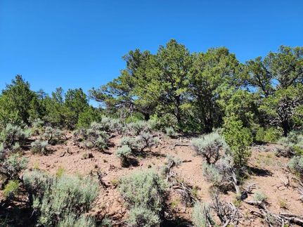 Farm and Ranch in Costilla County, Colorado