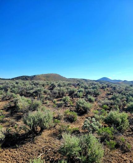 Commercial Property in Elko County, Nevada