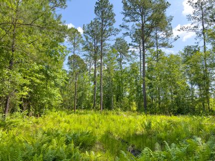 Farm and Ranch in Jefferson County, Florida