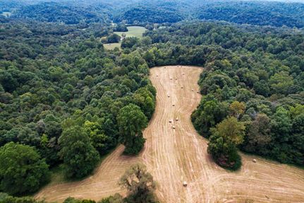 Undeveloped Land in Metcalfe County, Kentucky