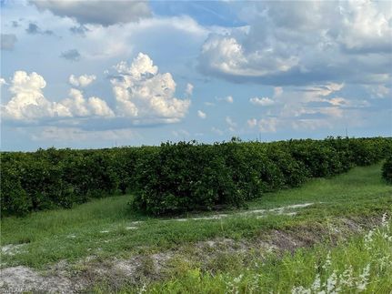 Land for sale in Hendry County, Florida