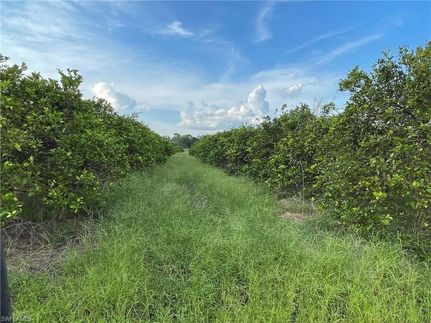 Land for sale in Hendry County, Florida