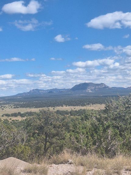 Recreational Property for sale in Catron County, New Mexico