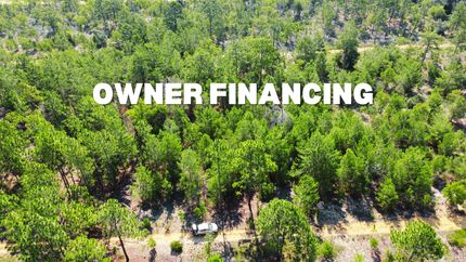 Undeveloped Land in Putnam County, Florida