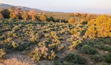 Farm and Ranch in Elko County, Nevada
