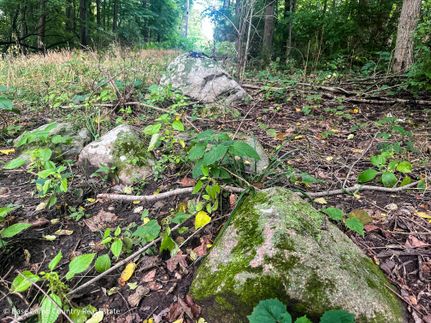 Timberland Property in Fountain County, Indiana