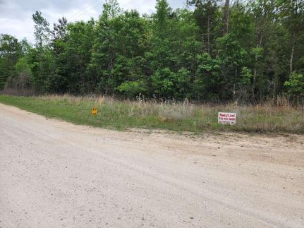 Undeveloped Land for sale in Polk County, Texas