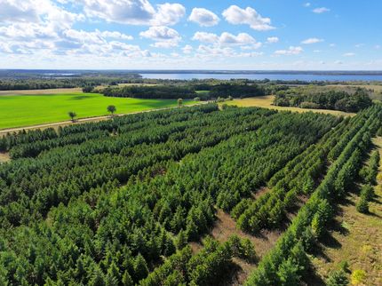 Undeveloped Land in Otter Tail County, Minnesota