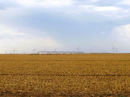 Farm and Ranch in Castro County, Texas