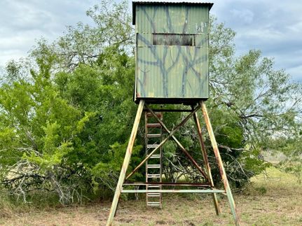 Farm and Ranch in Jim Wells County, Texas