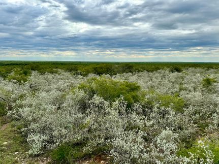 Land in Jim Wells County, Texas