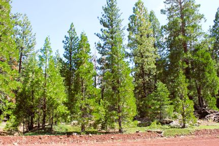 Farm and Ranch in Modoc County, California